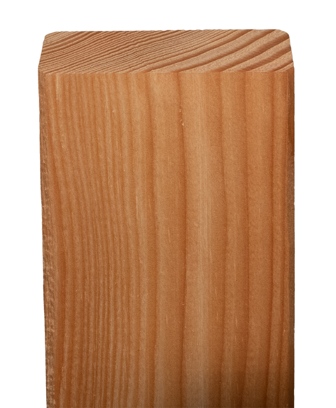 Zaunlatte Lärche 19/70 mm