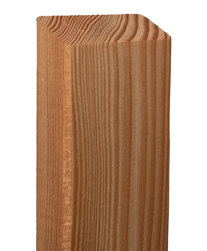 Zaunlatte Lärche 19/70 mm