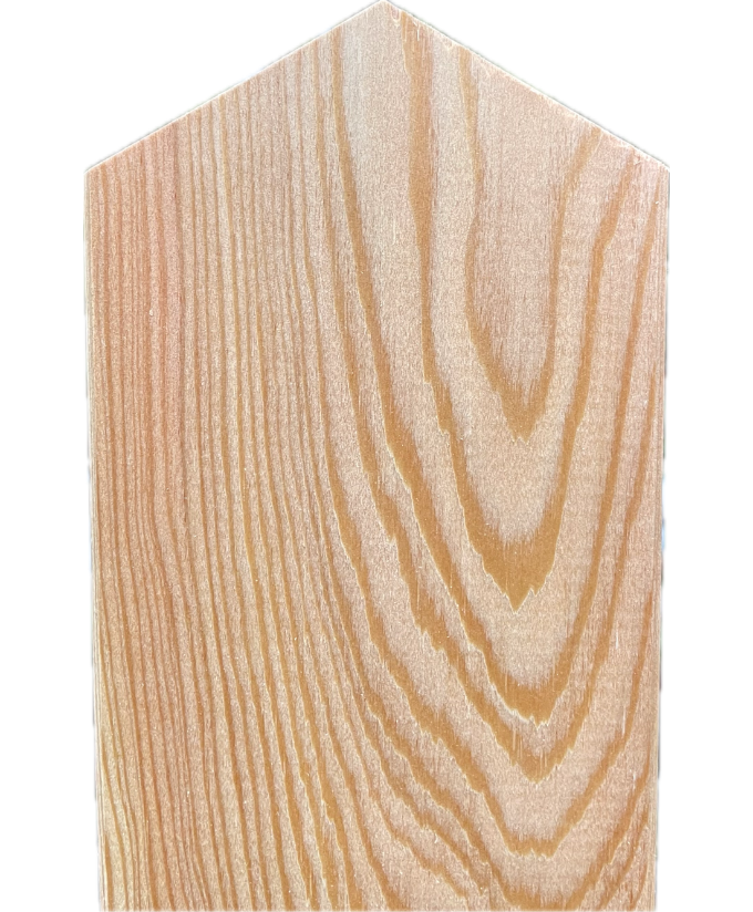 Zaunlatte Lärche 19/110 mm