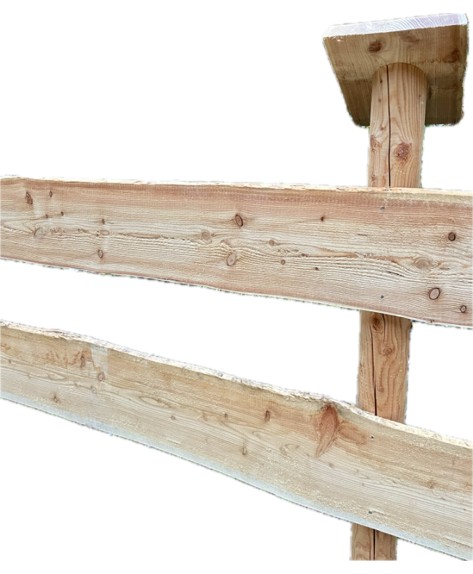 Zaunbretter Lärche unbesäumt 24mm