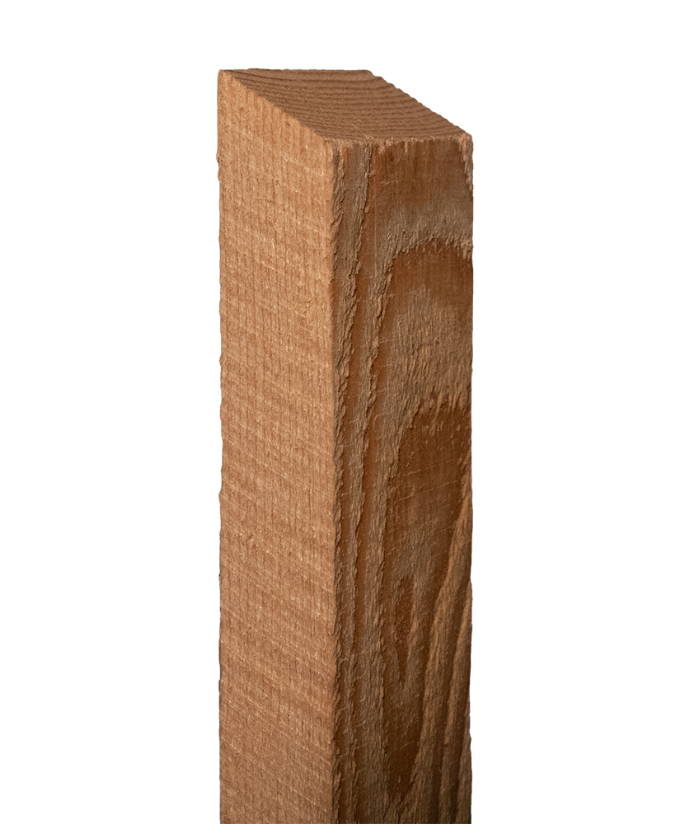 Zaunlatte Lärche sägerau 23/50 mm