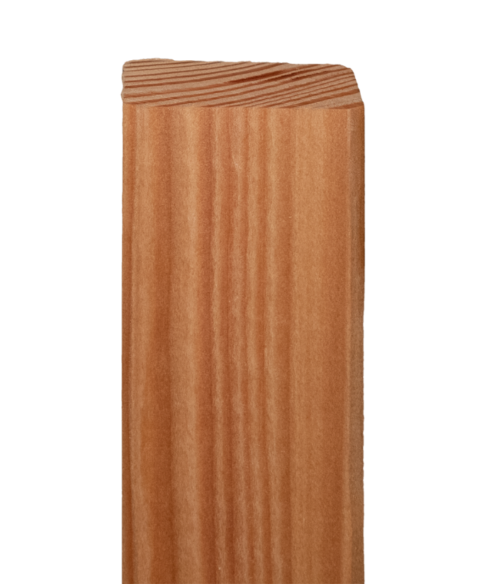 Zaunlatte Lärche 25/45 mm