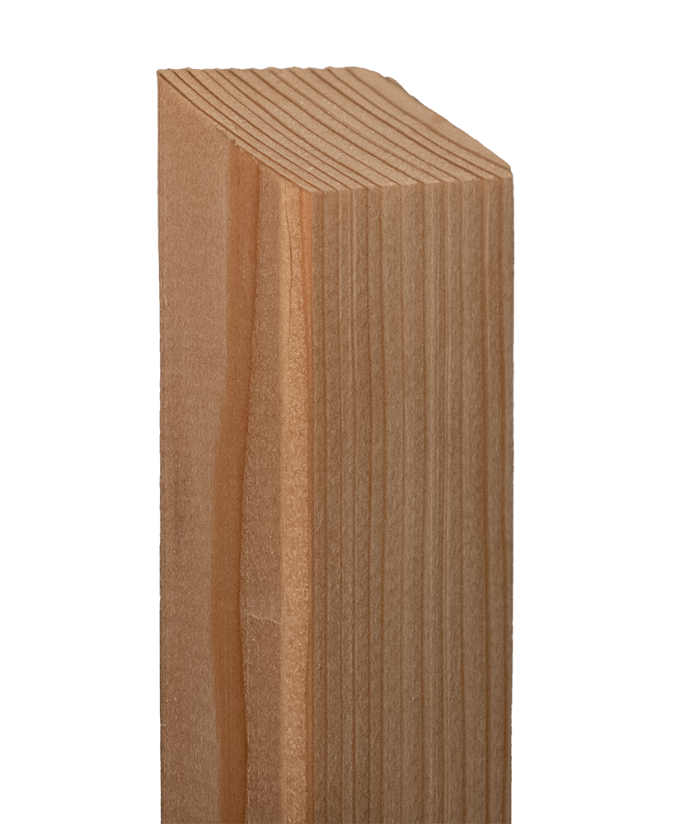 Zaunlatte Lärche 25/70 mm