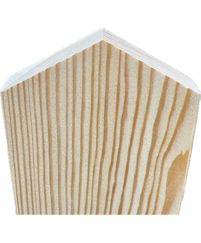 Zaunlatte Lärche 19/110 mm