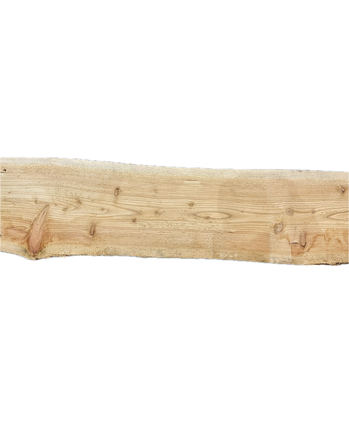 Zaunbretter Lärche unbesäumt 24mm