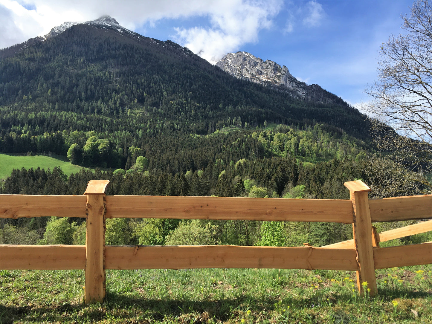 Zaunbretter Lärche unbesäumt 24mm