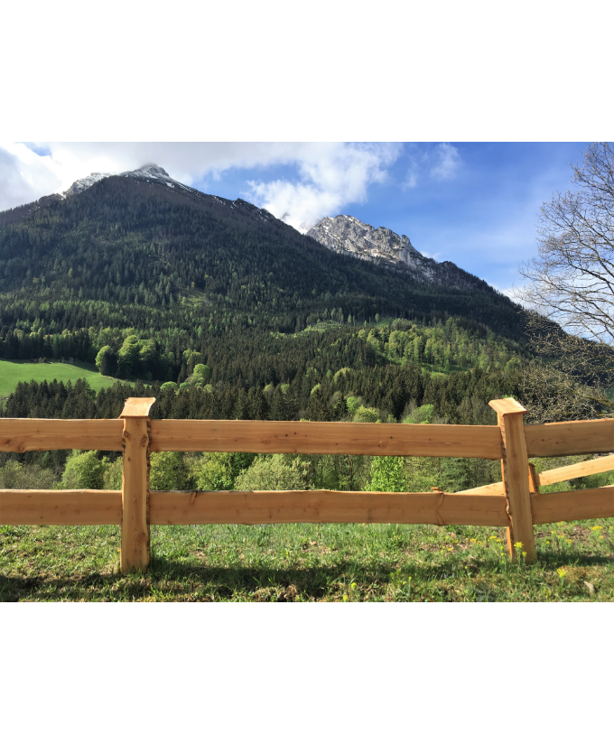 Zaunbretter Lärche unbesäumt 24mm