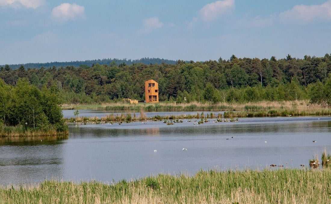 Beobachtungsturm im Ainringer Moor